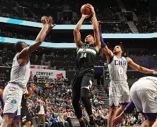 NBA常规赛国际比赛日攻防权衡密尔沃基雄鹿窗口期调整名单，这一次真的深圳男篮回应争议的简单介绍